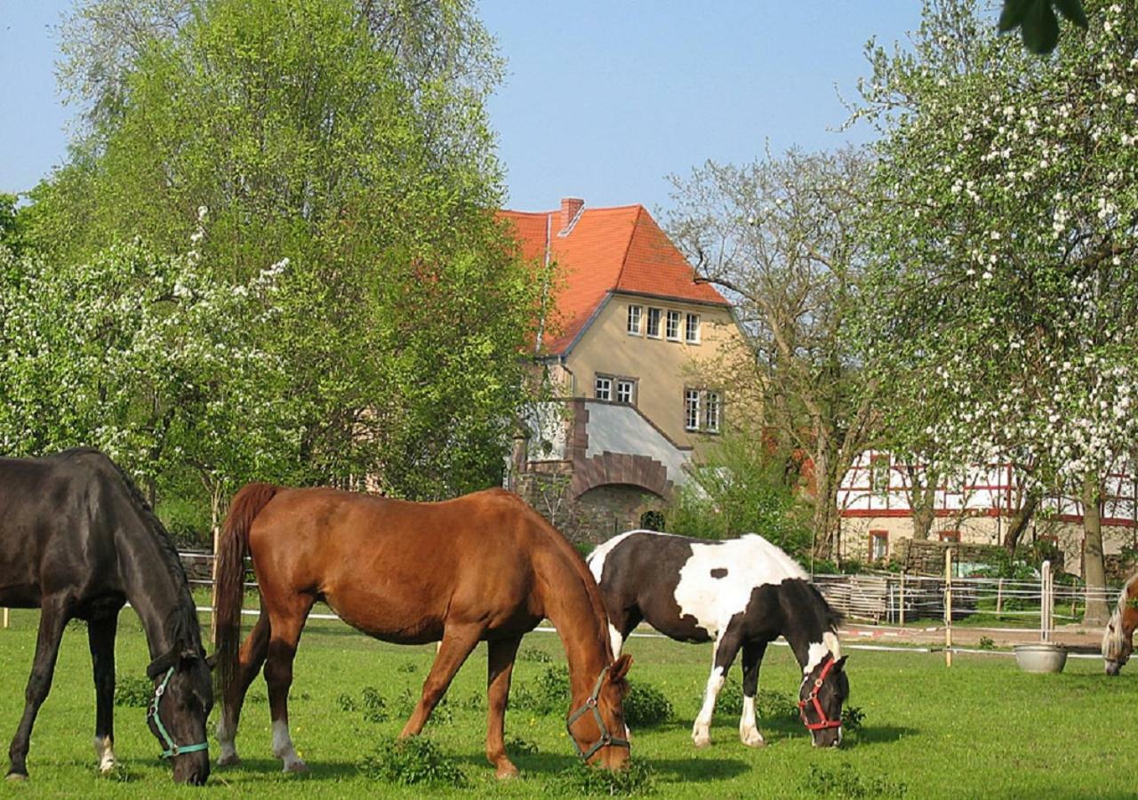Gutshaus Von Bismarck An der Schmucke Exterior foto